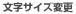 �����T�C�Y�ύX