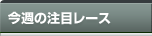 ���T�̒��ڃ��[�X