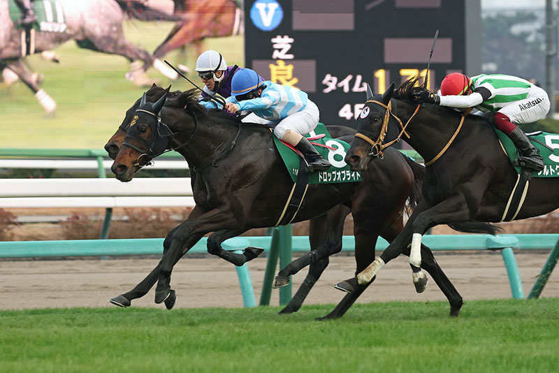 �S�[���O�ʐ^