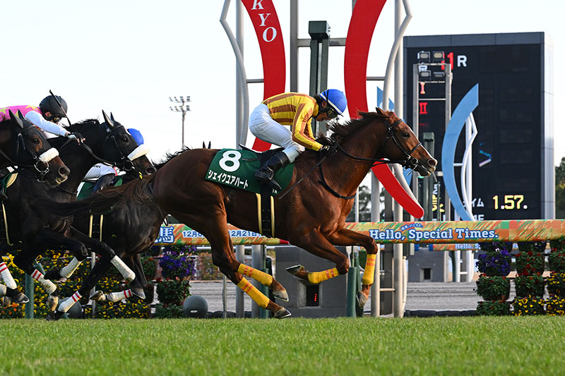 �S�[���O�ʐ^