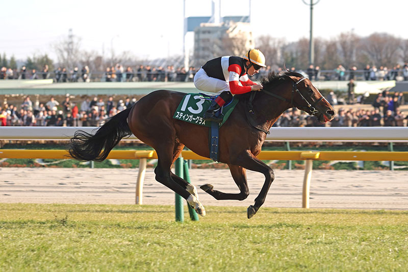 �S�[���O�ʐ^