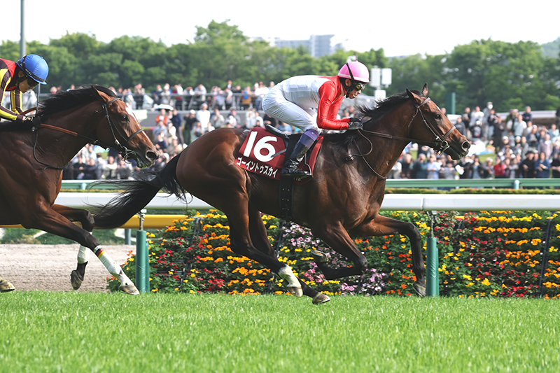 �S�[���O�ʐ^