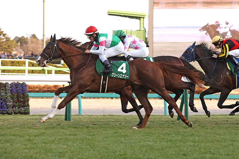 �S�[���O�ʐ^