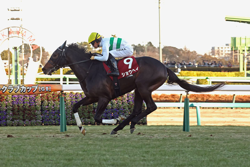 �S�[���O�ʐ^