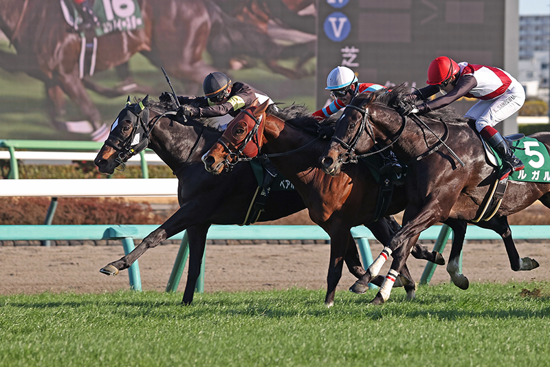 �S�[���O�ʐ^