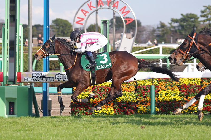 �S�[���O�ʐ^