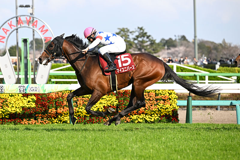 �S�[���O�ʐ^