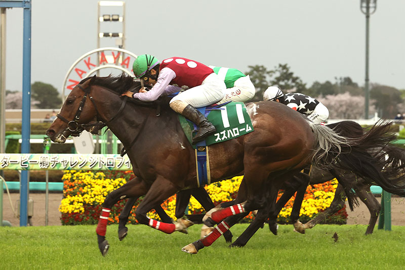 �S�[���O�ʐ^