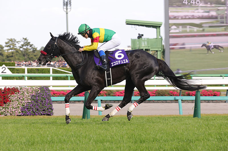 �S�[���O�ʐ^