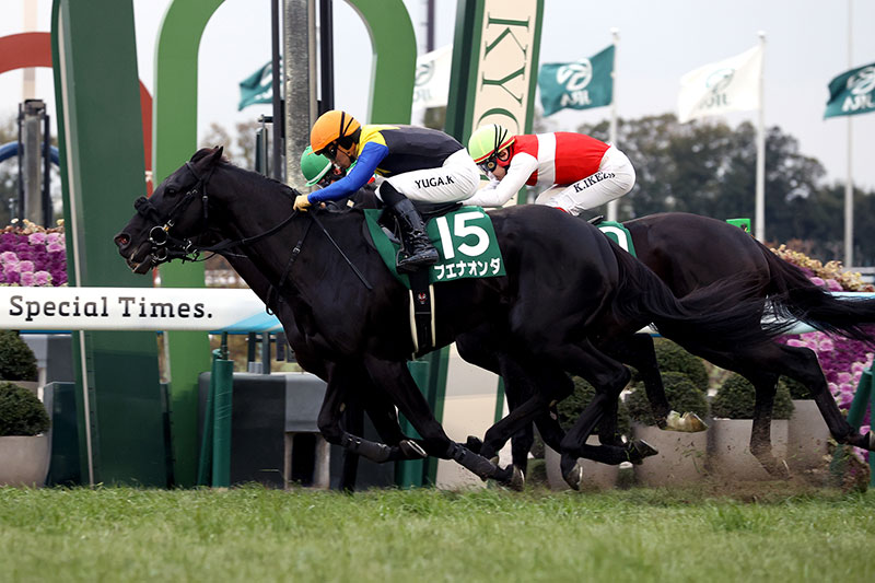 �S�[���O�ʐ^