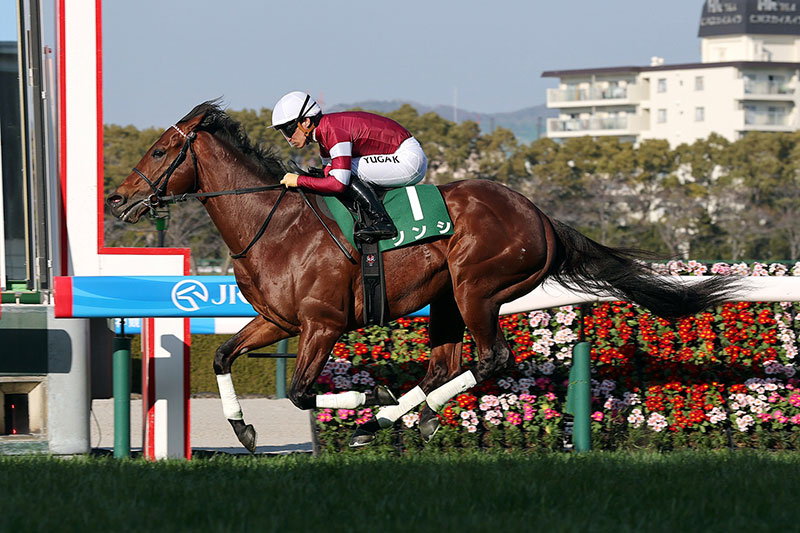 �S�[���O�ʐ^