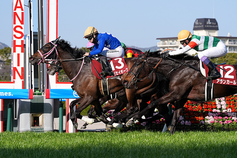 �S�[���O�ʐ^