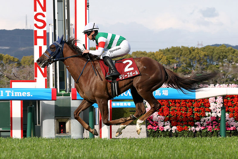 �S�[���O�ʐ^