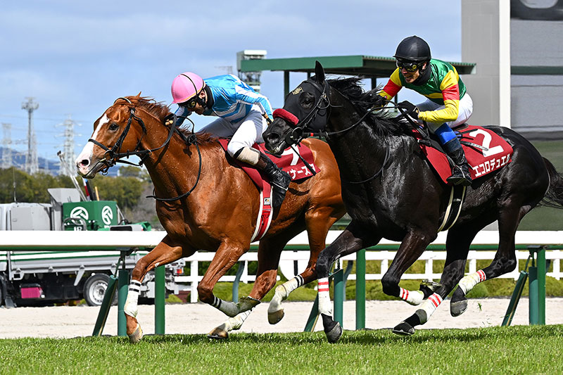 �S�[���O�ʐ^