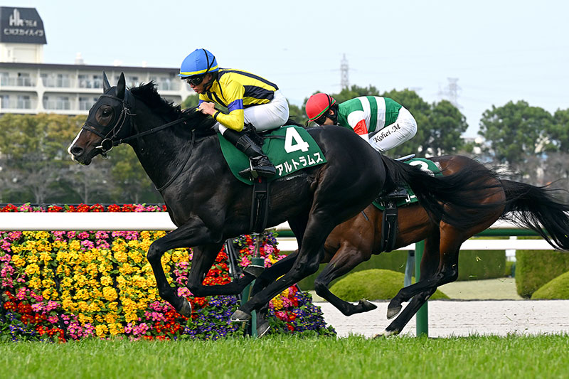 �S�[���O�ʐ^