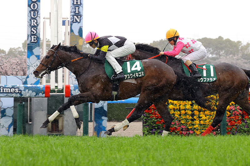 �S�[���O�ʐ^