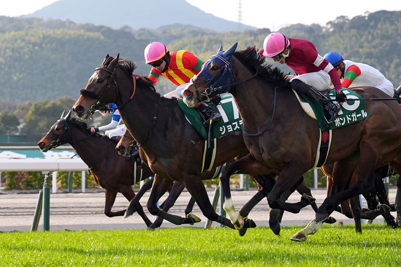 �S�[���O�ʐ^