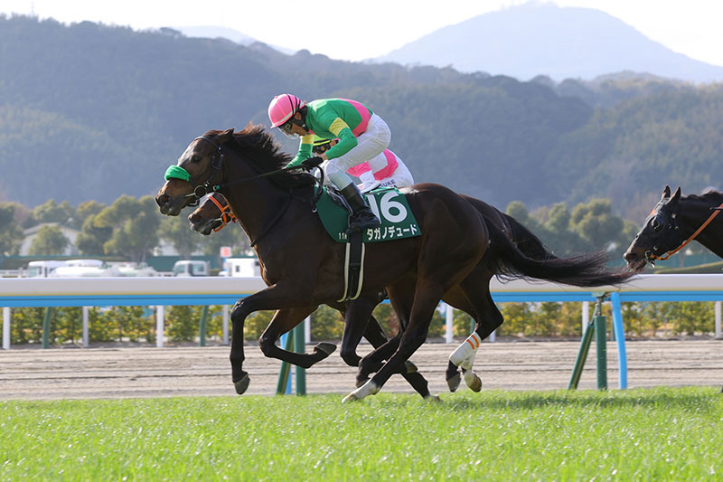 �S�[���O�ʐ^