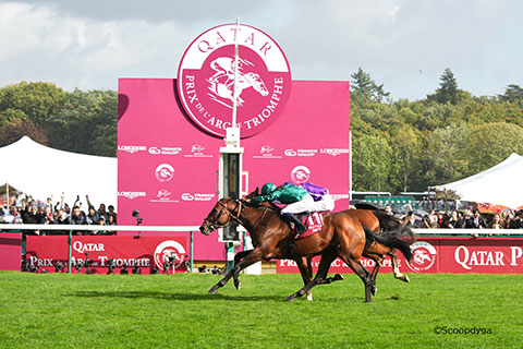 �S�[���O�ʐ^