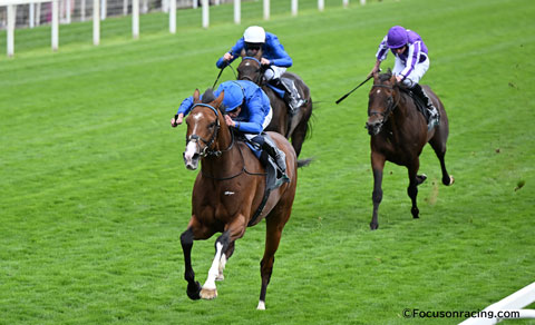 �S�[���O�ʐ^