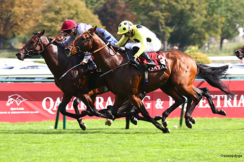 �S�[���O�ʐ^