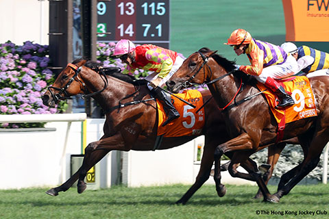 �S�[���O�ʐ^