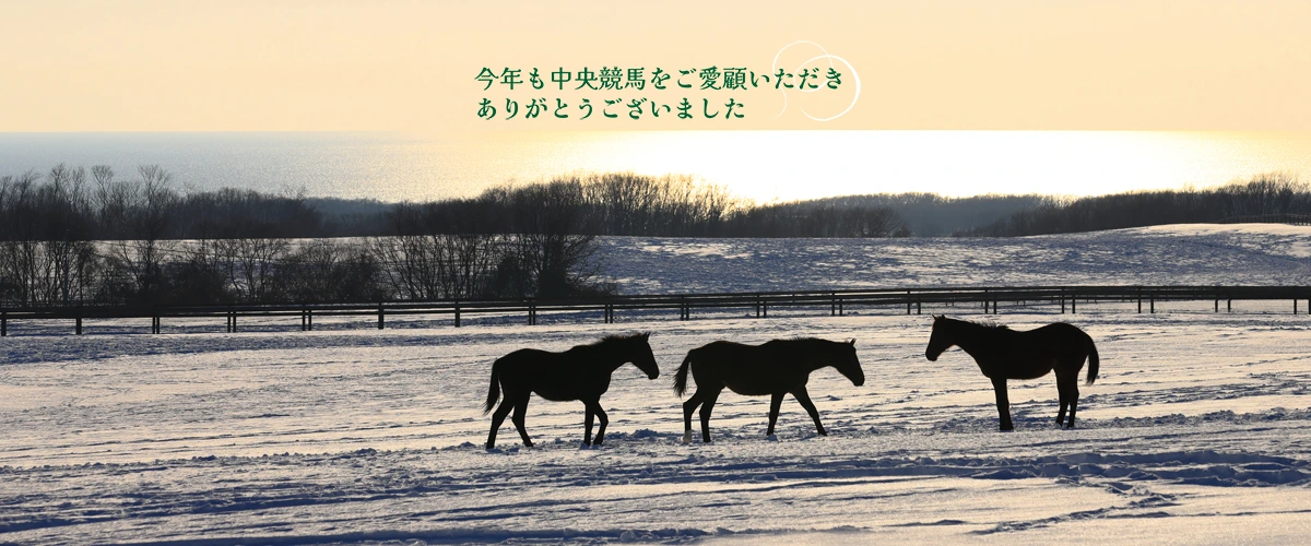 ���T�̒��ڃ��[�X