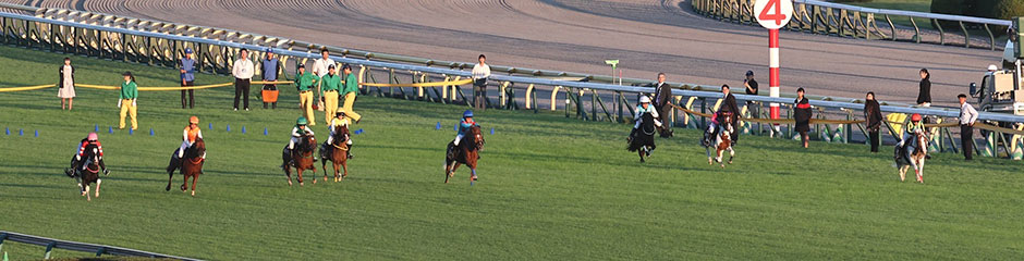 昨年のレースの模様