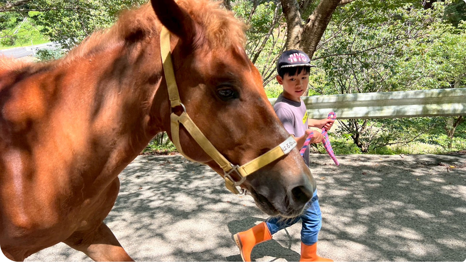 �ΏB�n�������l�q