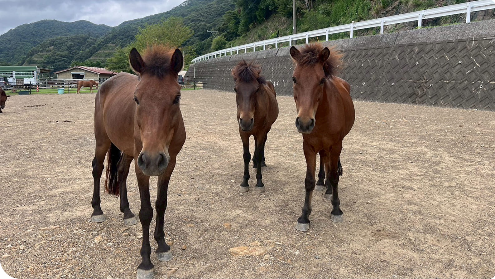 �ΏB�n�̃C���[�W