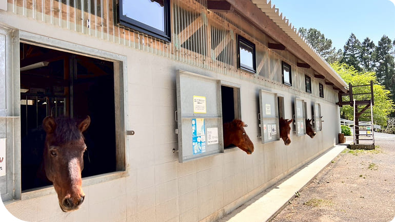 �Ő��̒���ւ��̌��̗l�q