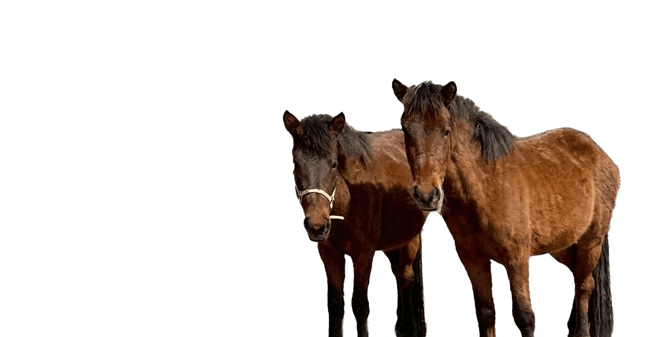 �ݗ��n�̃C���[�W