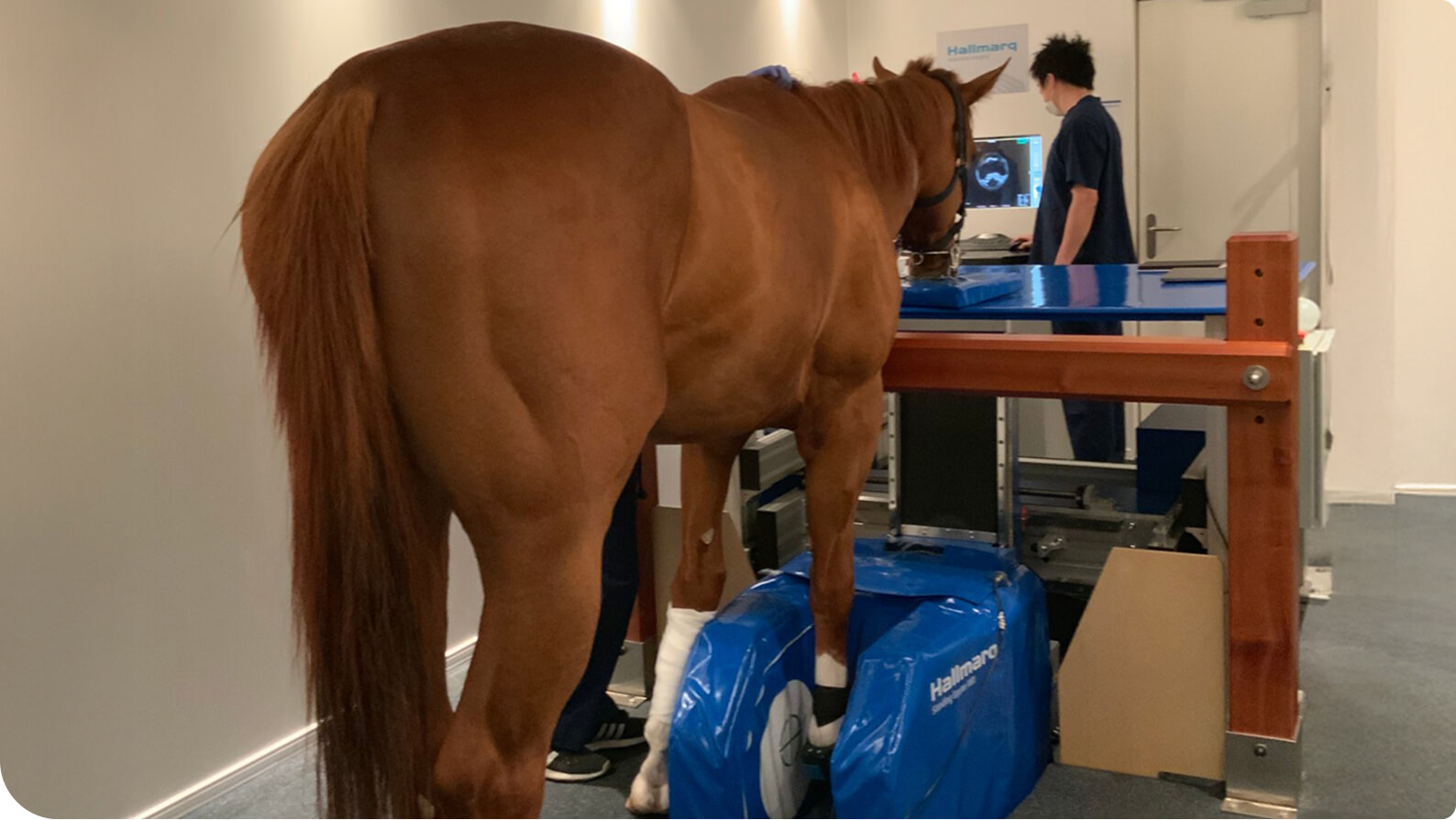 �����̗l�q