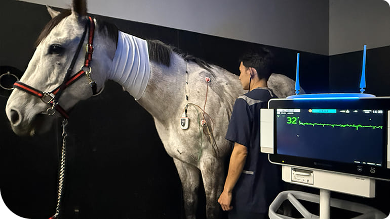 �̈�قł̍��w�̗l�q