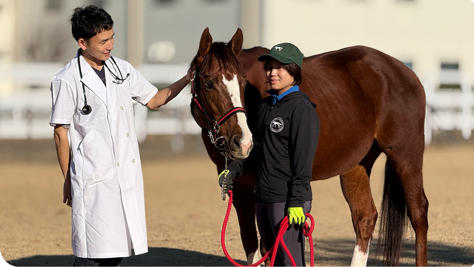 �����̗l�q