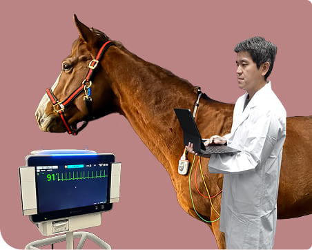 �����n�̖��������B<br>�n�́u����v�Ɓu���v���x���鎾�a�����̌��ꂩ��