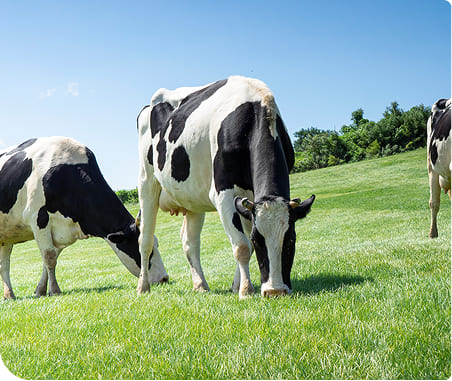 JRA�̒{�Y�U���ւ̎�g��