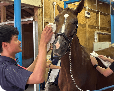 �n�ƌ��������A���ԂƂȂ���B<br>JRA�����T�}�[�X�N�[�����ʂ����A������琬�̎g���B