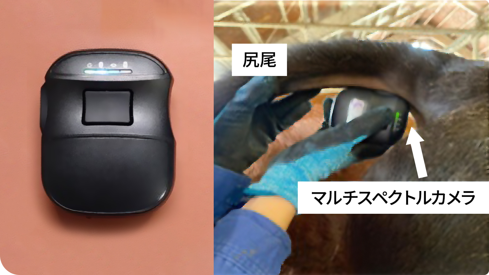 ���̌��N�Ǘ��Ƀ}���`�X�y�N�g���J�������g�p����l�q