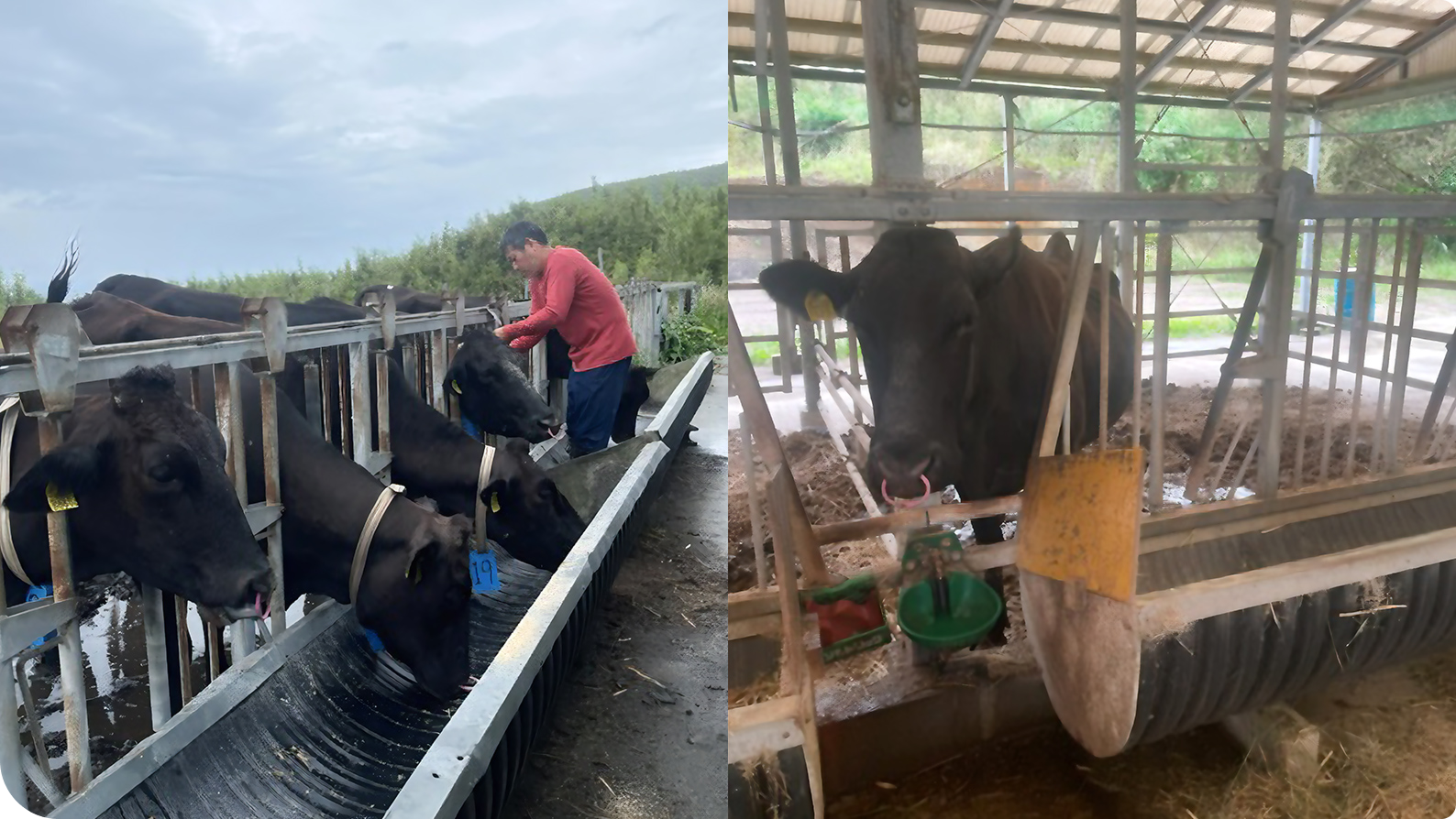 ���ɓ��ŋ��̌��N��Ԃ��m�F���Ă���l�q