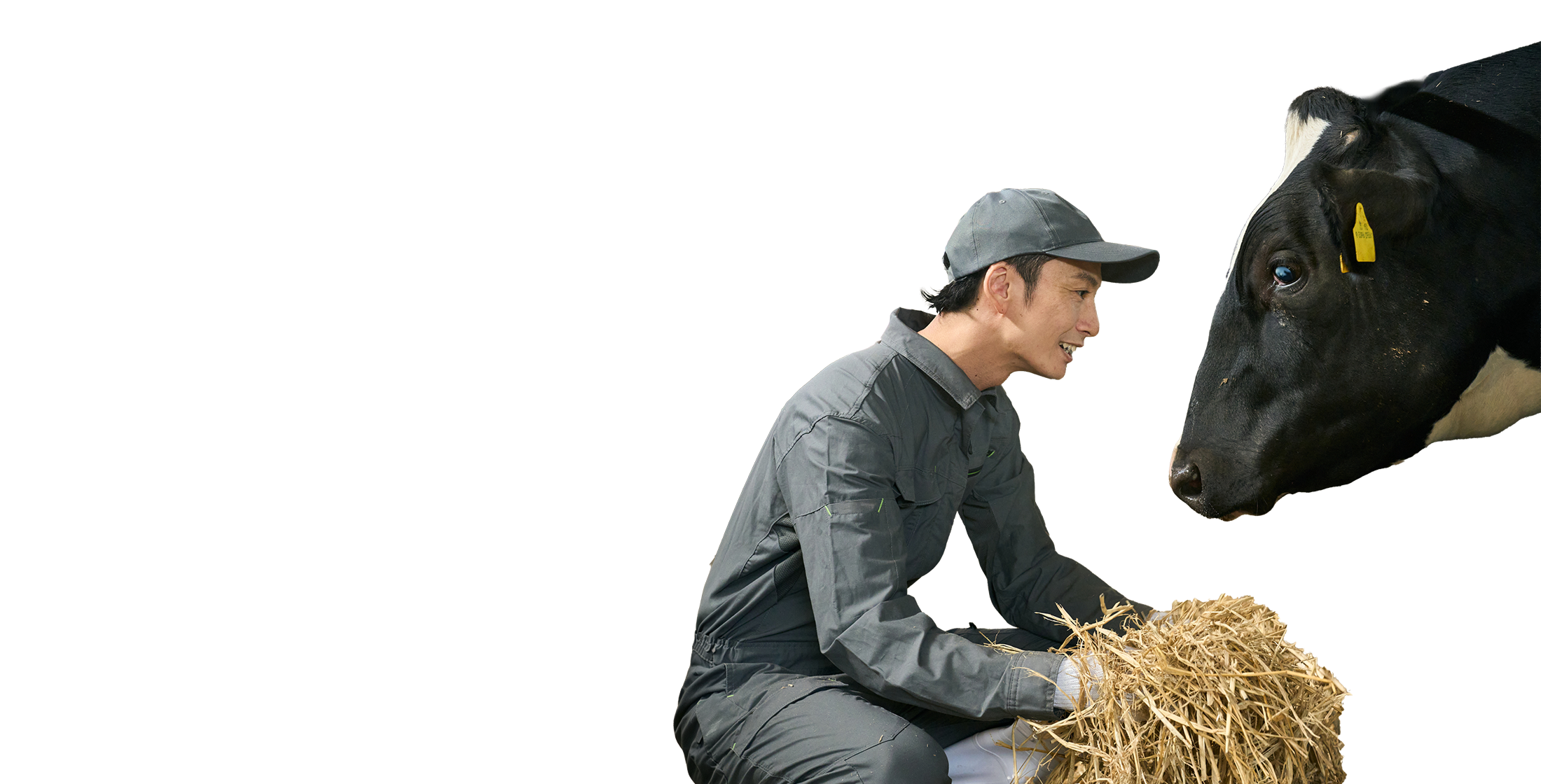 ���K�̗l�q