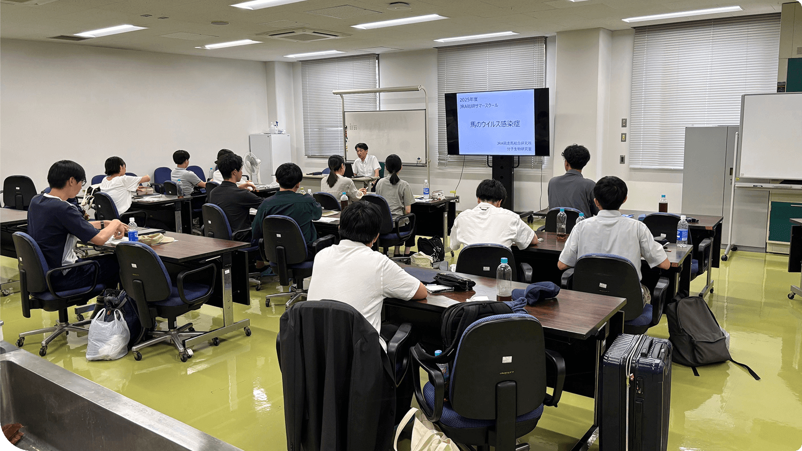 �b��w���̃J���L�������ۑ����������JRA�̃T�}�[�X�N�[��