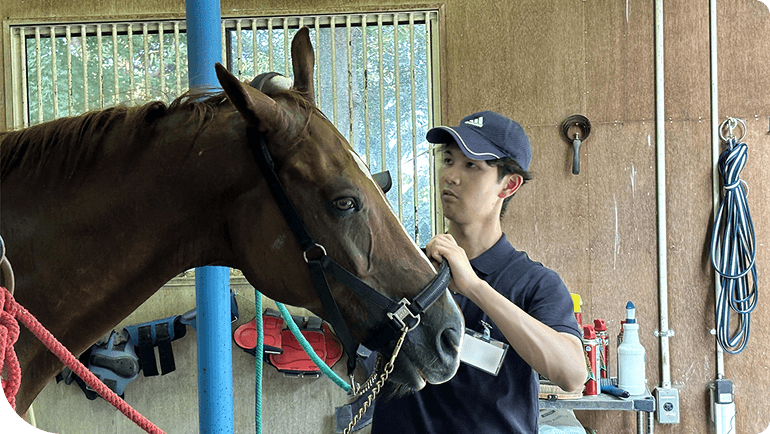 �n�[�̑|������n�܂�A����̃��A��