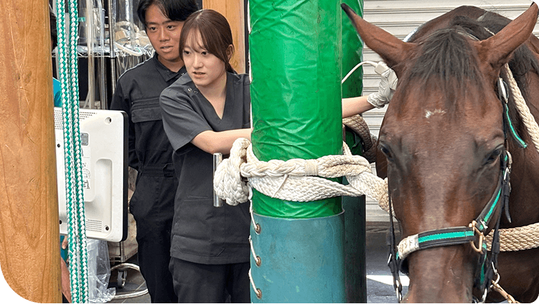 �����ƗՏ����Ȃ��Ő�[�̊w��