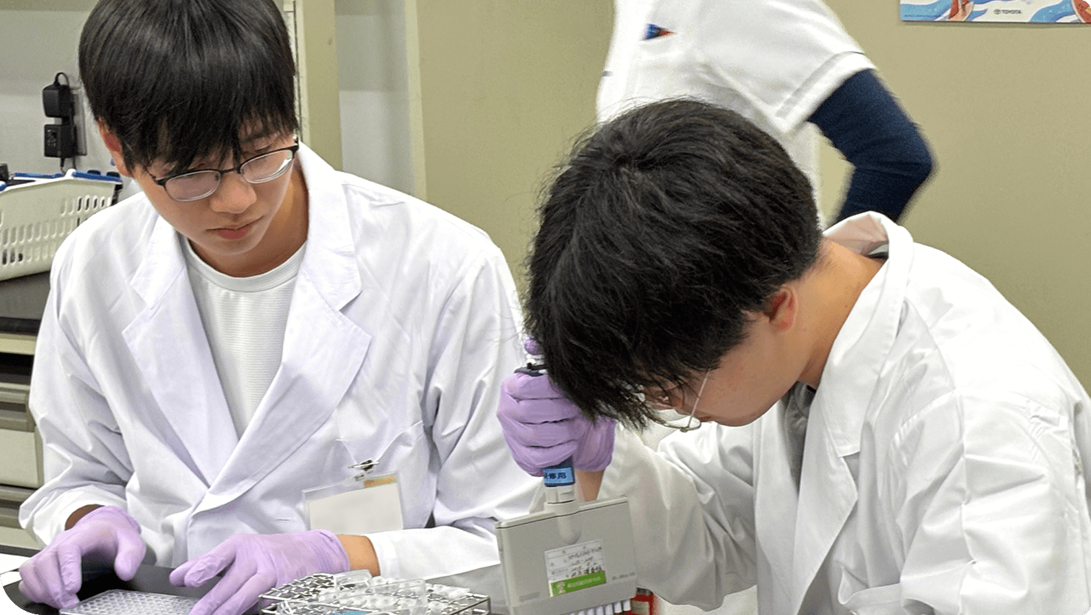 �����u����������Ƃ̌𗬂����܂��