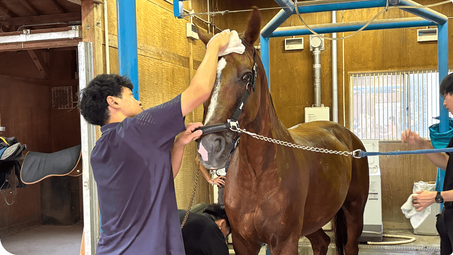 JRA�Ƃ����g�𒴂����{���̔n�̖��ƌ��������͂ɂȂ�