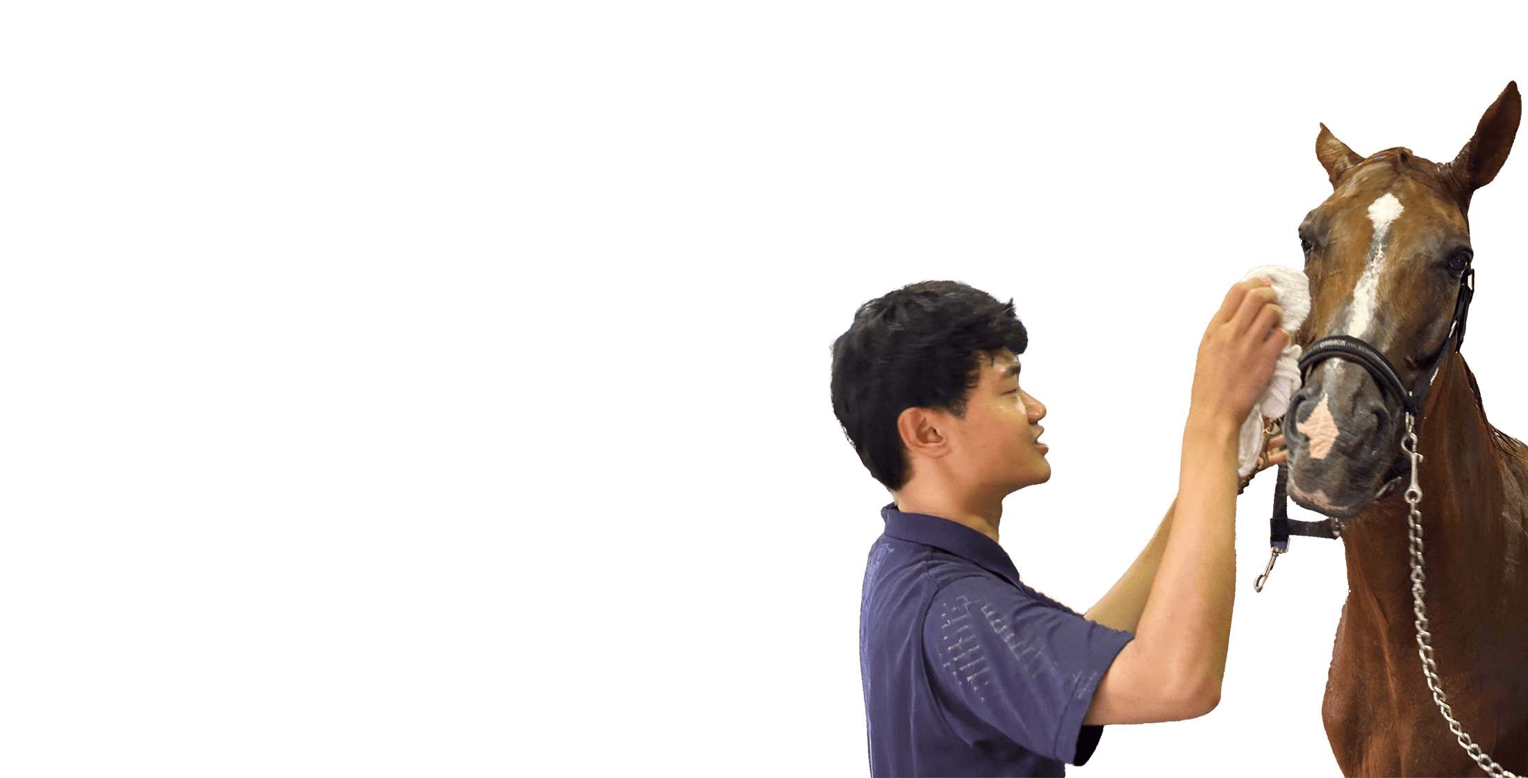 ���K�̗l�q