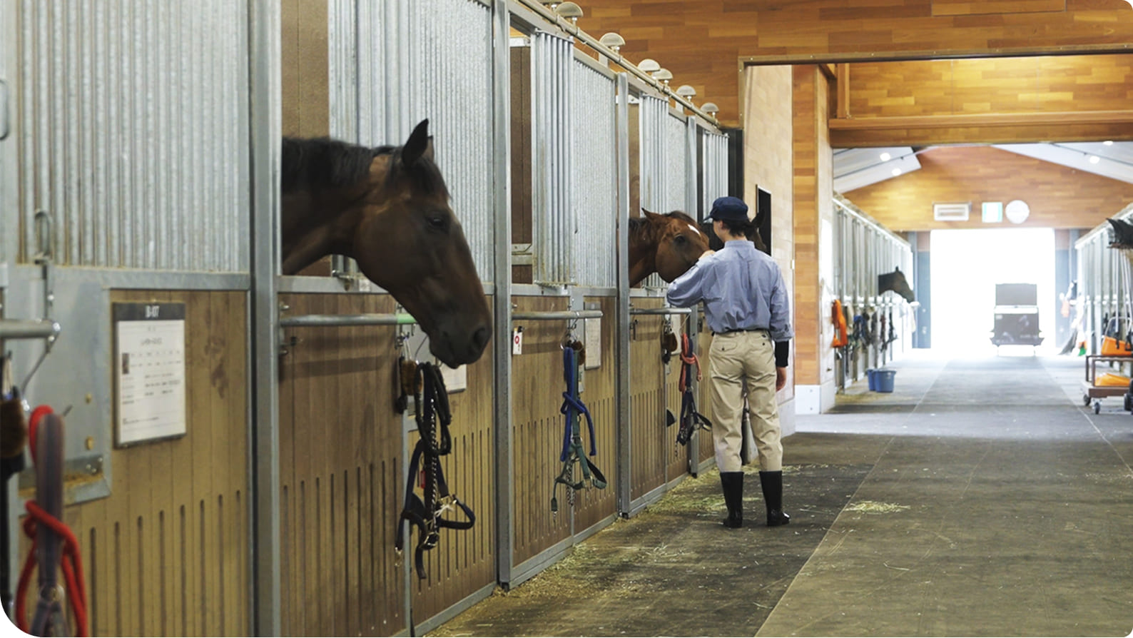 �o�C�I�}�X���d�̎ʐ^