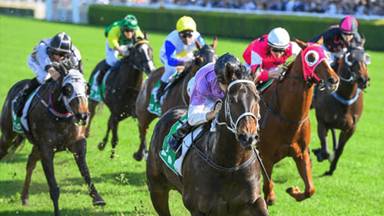 ���n�̗l�q