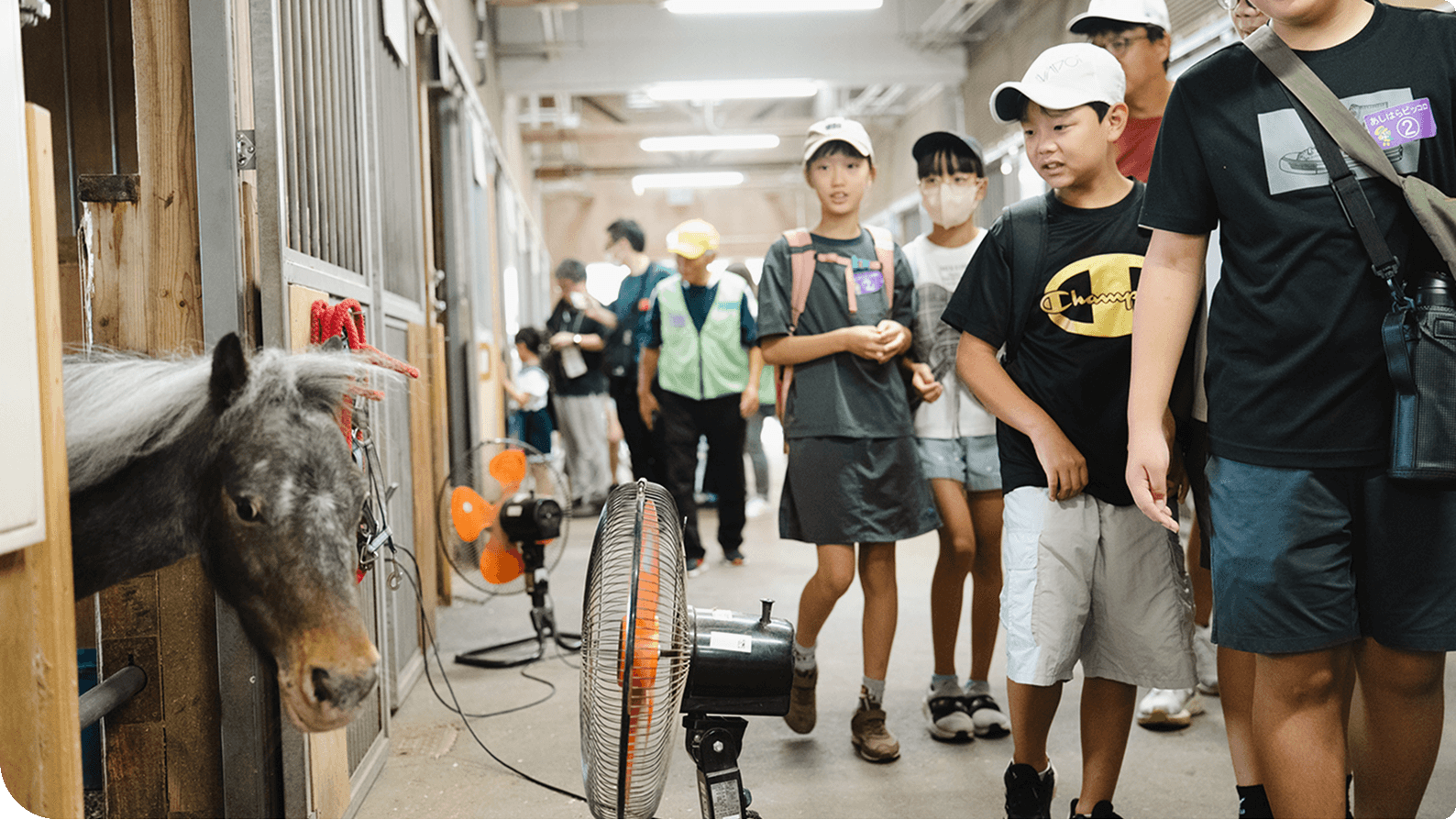 ���n�ꂾ���炱���񋟂ł��鋳��I���l